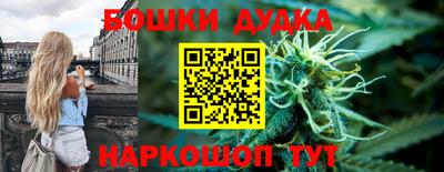 PSILOCYBIN Камышлов