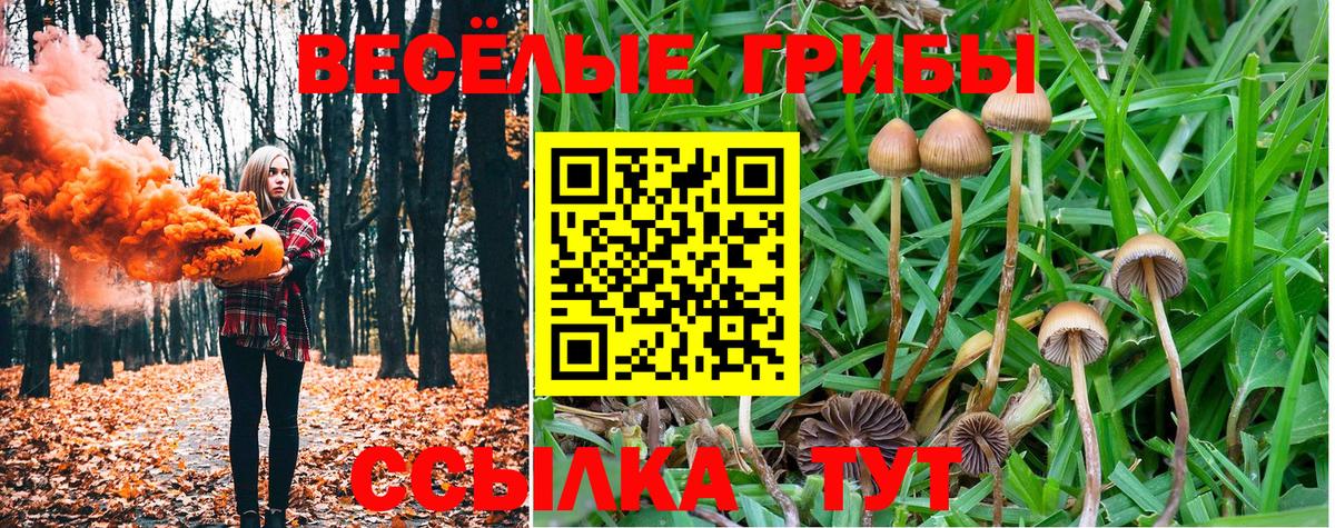Галлюциногенные грибы Cubensis Краснодар