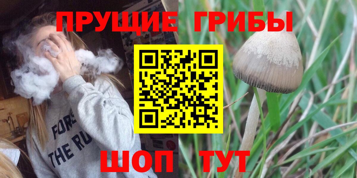 Псилоцибиновые грибы ЛСД  Вход с VPN  Краснодар 